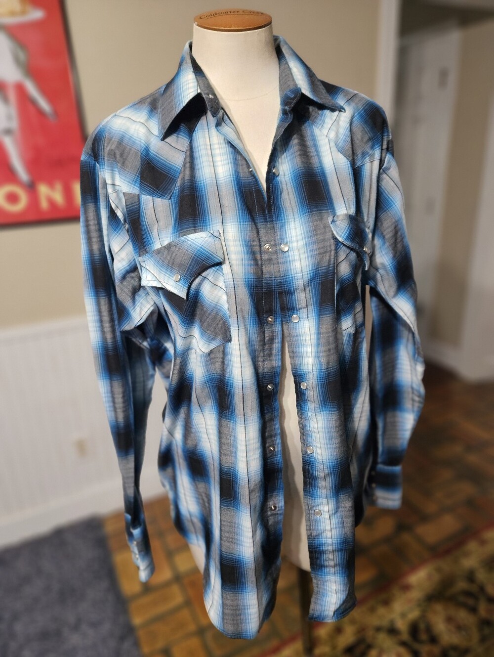 Plains Pearl Snap Western Shirt Medium